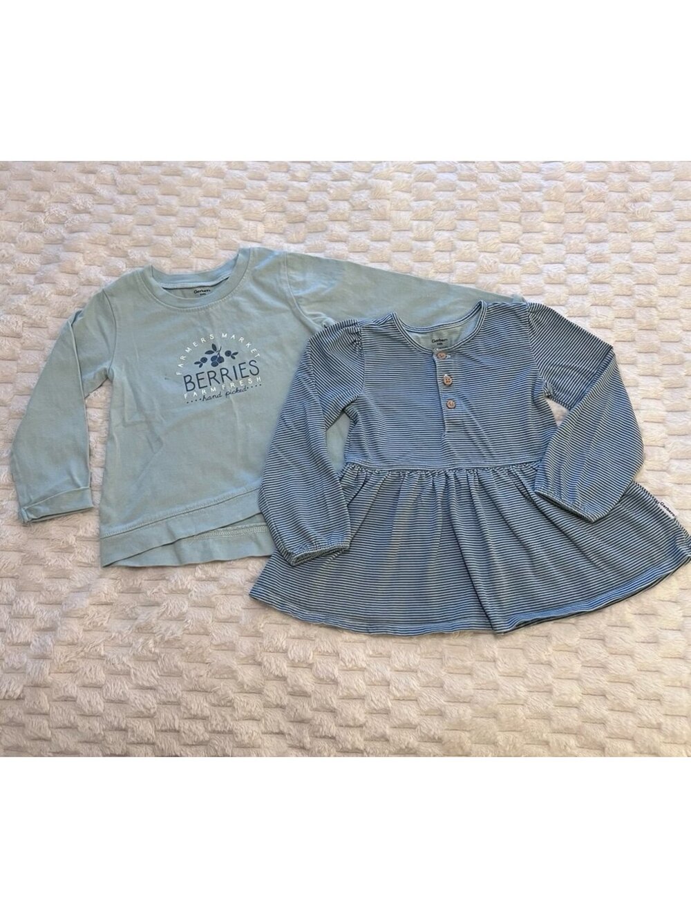 Gerber Girls Long Sleeve Shirt Set (3T)